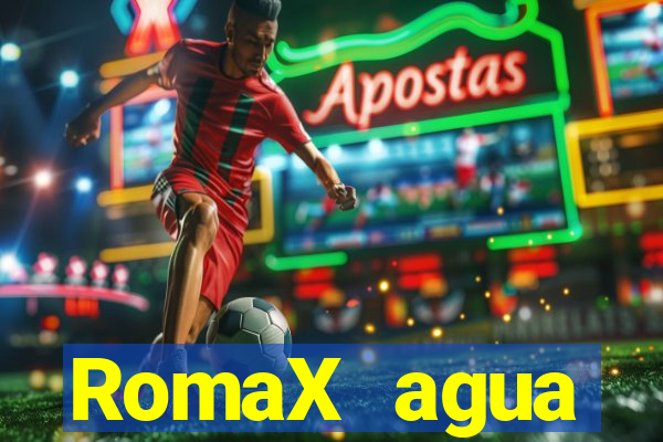 RomaX agua sanitaria fispq agua sanitaria romax